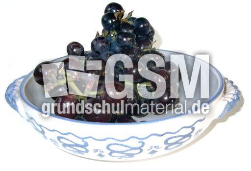 Trauben.JPG